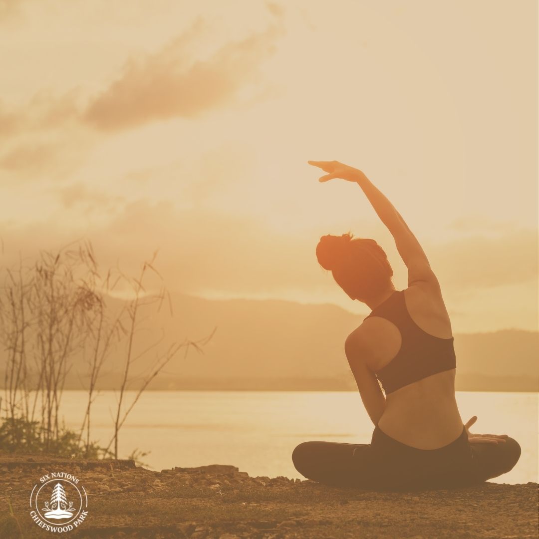 Copy of Chiefswood Park presents 1