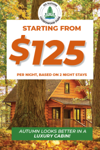 CWP25 125PerNight Fall