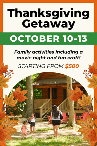 CWP Cabin Web Graphic